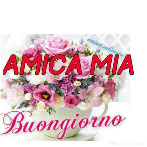 100 immagini buongiorno gratis per whatsapp|More.